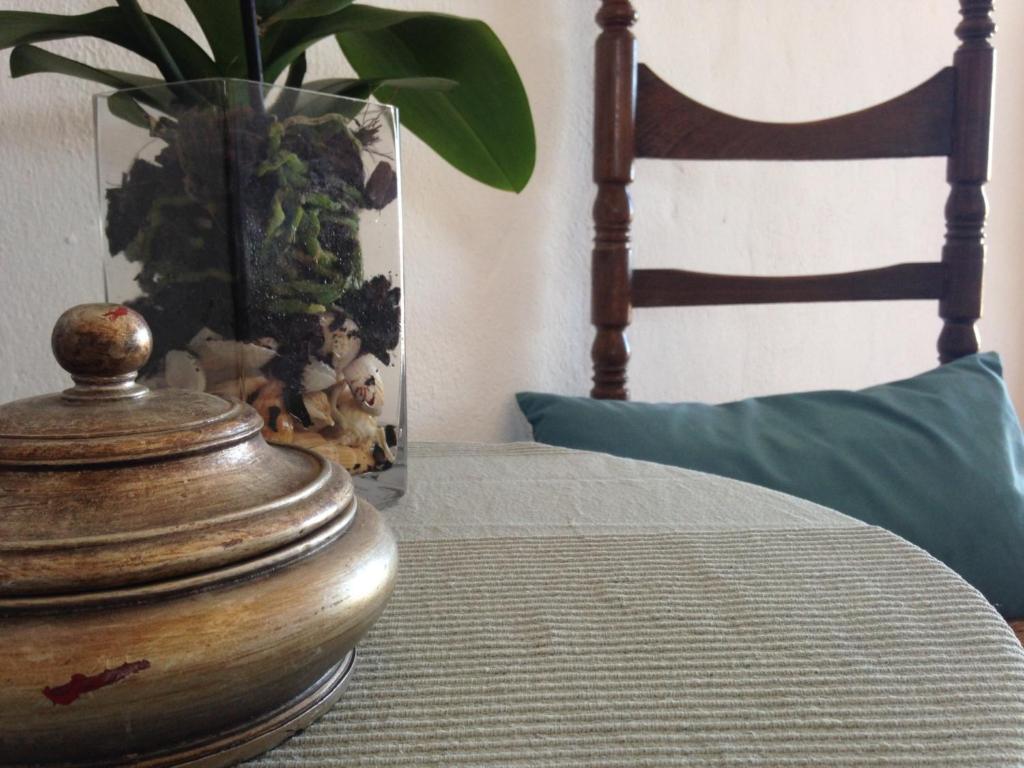 산타니 Casa De La Vida 호스텔 객실 사진